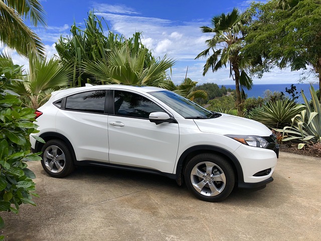 Honda HR V branco estacionado entre palmeiras, em uma paisagem tropical. O céu é azul e o mar está visível no fundo, atrás das árvores.