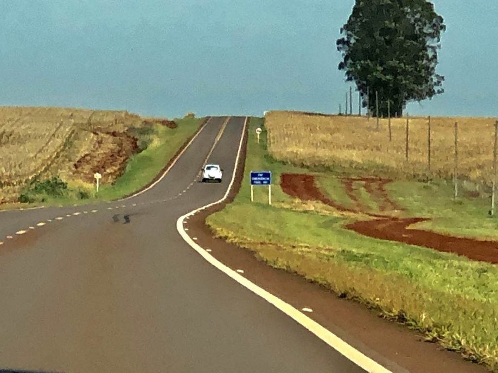 Uma paisagem em Mato Grosso do Sul, com um céu azul intenso sobre árvores altas. Uma estrada corta a cena, com carros visíveis. Ao redor, podem ser vistos campos com plantações.