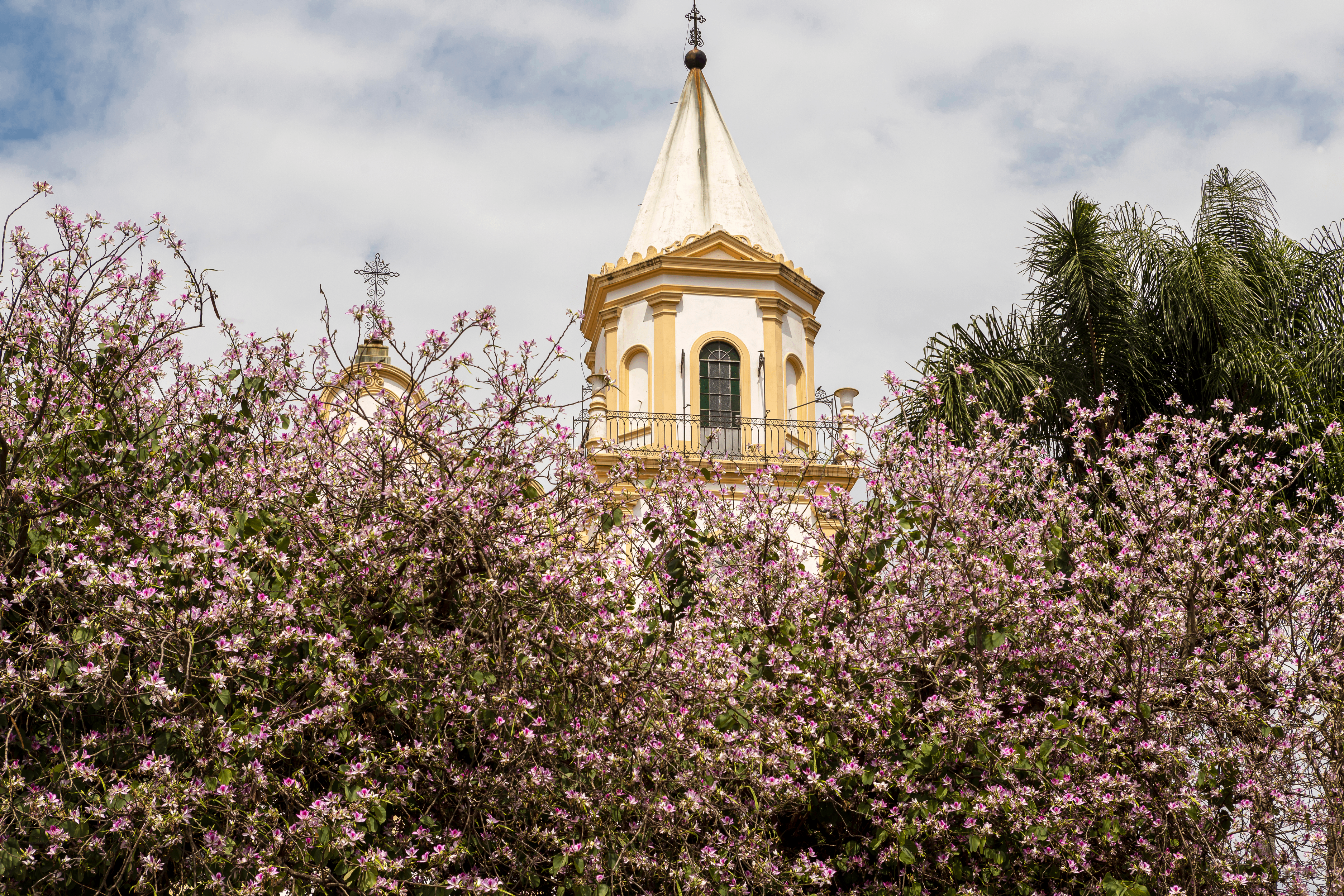 Seguro auto no Amapa com a vista da igreaja Matriz de Santana do Parnaíba. Arvores floridas em rosa encobrindo parcialmente a edificação Véu levemente nublado